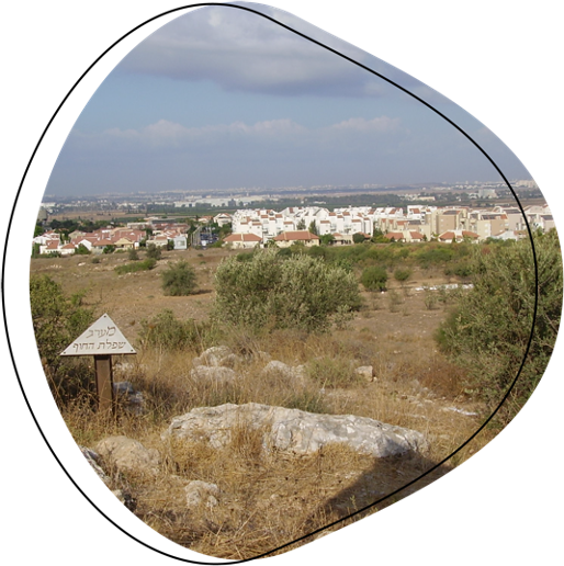 יער שהם