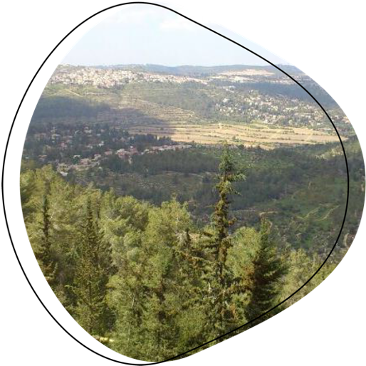 הר הרוח ושביל נוף יתלה